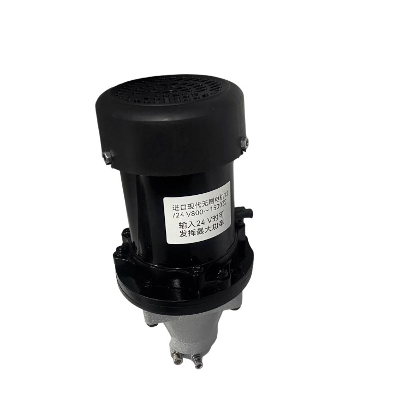 12–60 V 500–1500 W bürstenlose – Fishing Boat Outboard Motor Bewertung und Preis