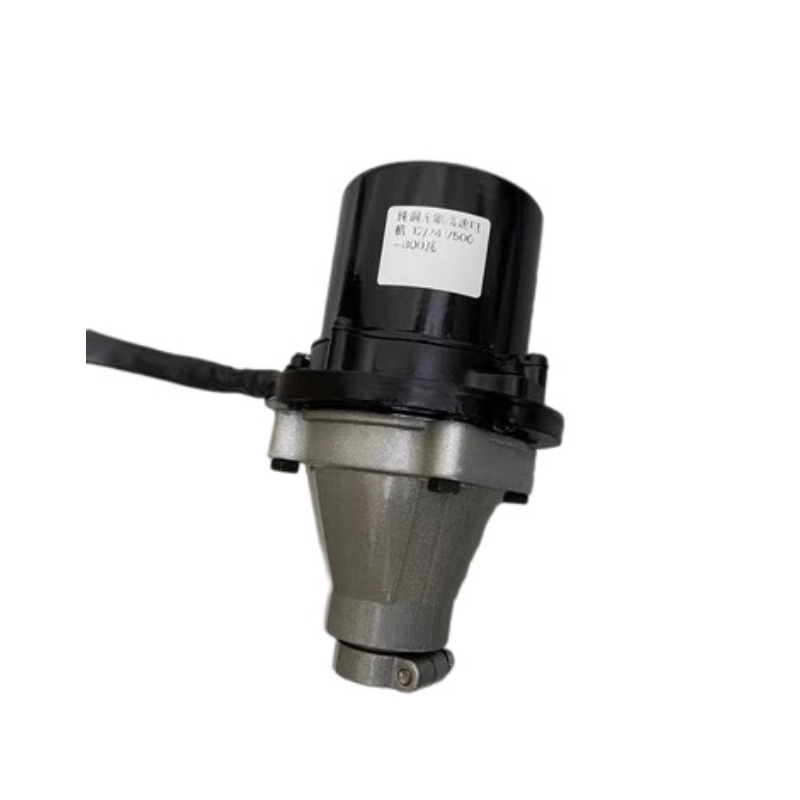 12–60 V 500–1500 W bürstenlose – Fishing Boat Outboard Motor Bewertung und Preis